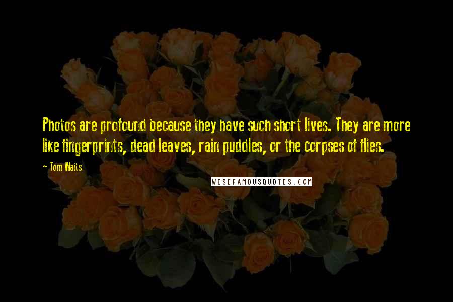 Tom Waits Quotes: Photos are profound because they have such short lives. They are more like fingerprints, dead leaves, rain puddles, or the corpses of flies.