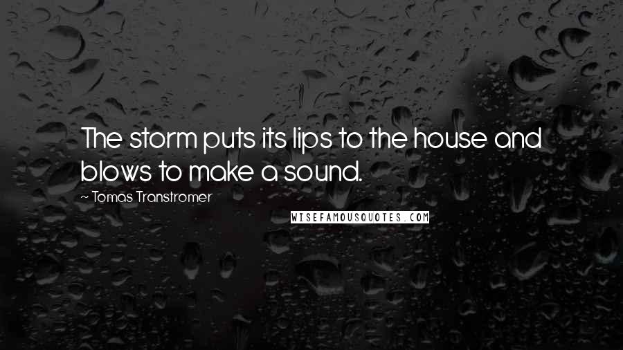 Tomas Transtromer Quotes: The storm puts its lips to the house and blows to make a sound.