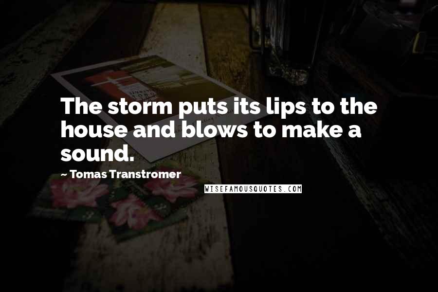 Tomas Transtromer Quotes: The storm puts its lips to the house and blows to make a sound.