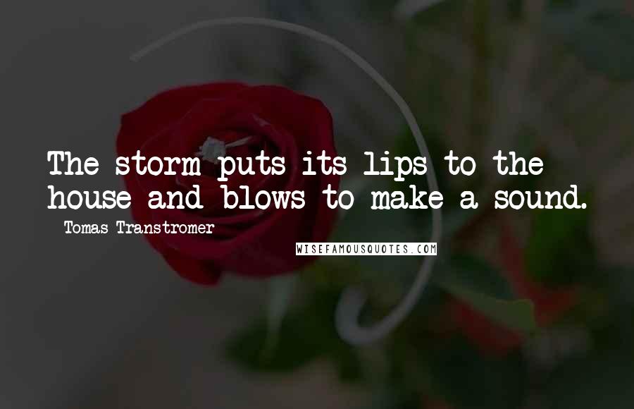 Tomas Transtromer Quotes: The storm puts its lips to the house and blows to make a sound.