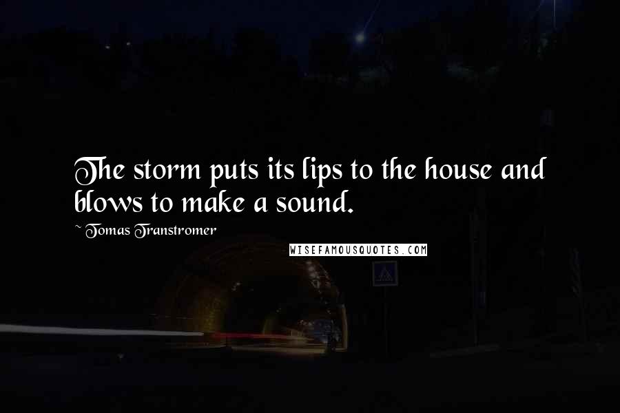 Tomas Transtromer Quotes: The storm puts its lips to the house and blows to make a sound.