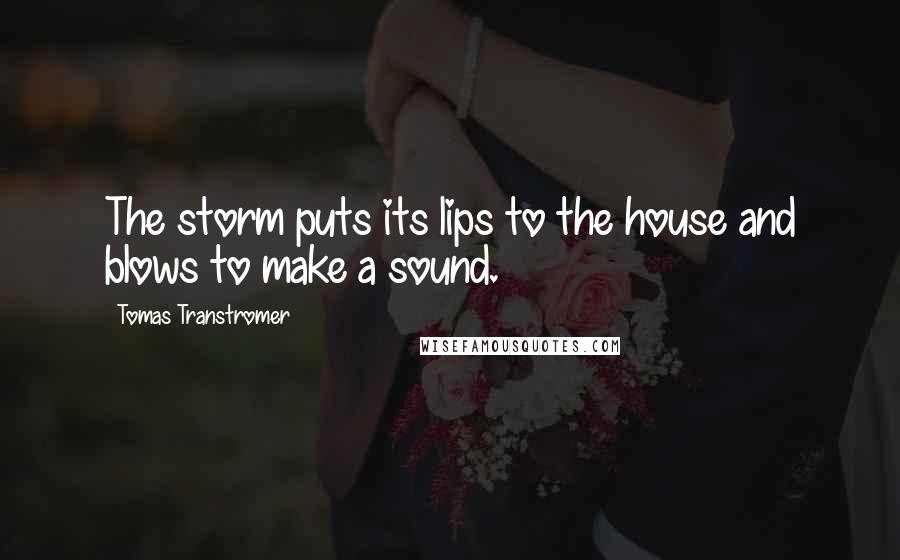 Tomas Transtromer Quotes: The storm puts its lips to the house and blows to make a sound.