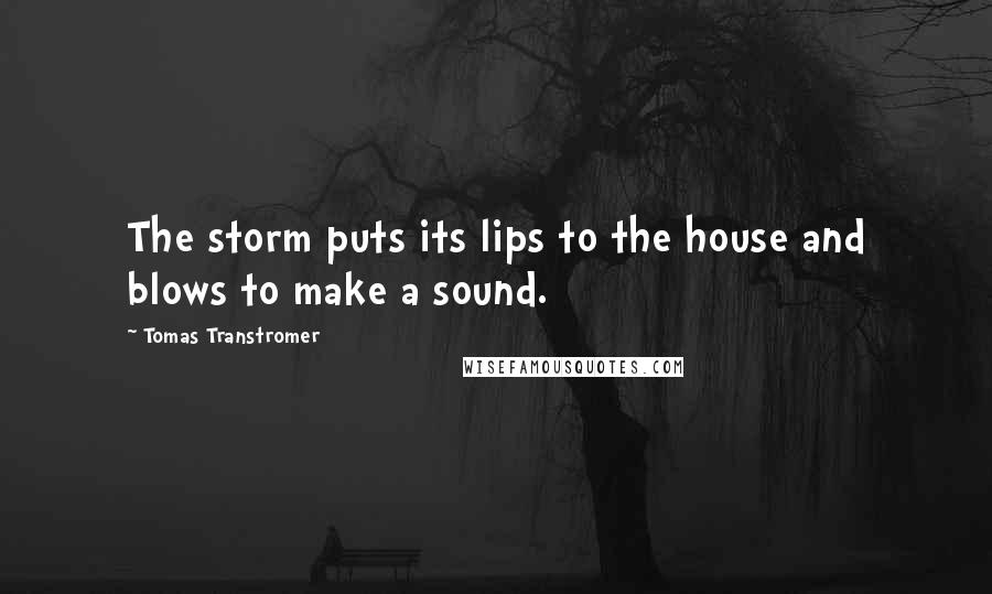 Tomas Transtromer Quotes: The storm puts its lips to the house and blows to make a sound.