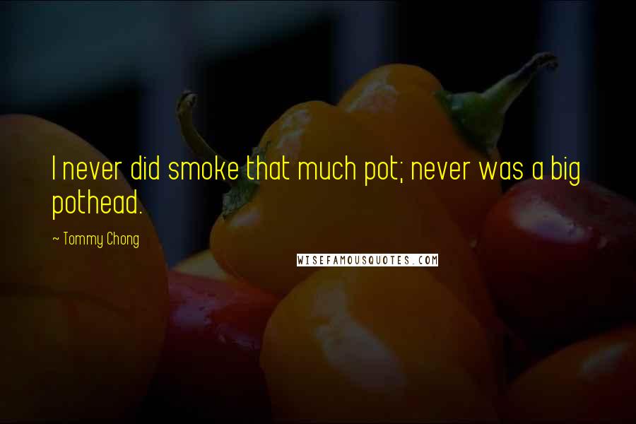 Tommy Chong Quotes: I never did smoke that much pot; never was a big pothead.
