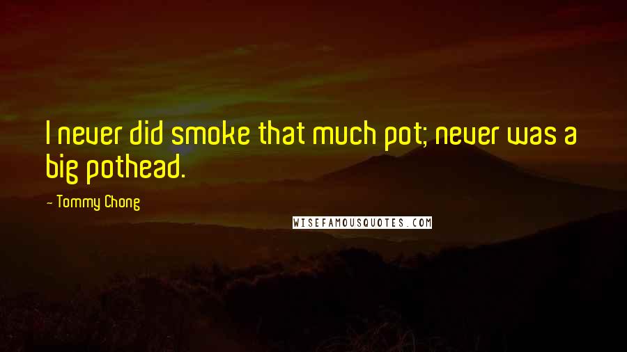 Tommy Chong Quotes: I never did smoke that much pot; never was a big pothead.