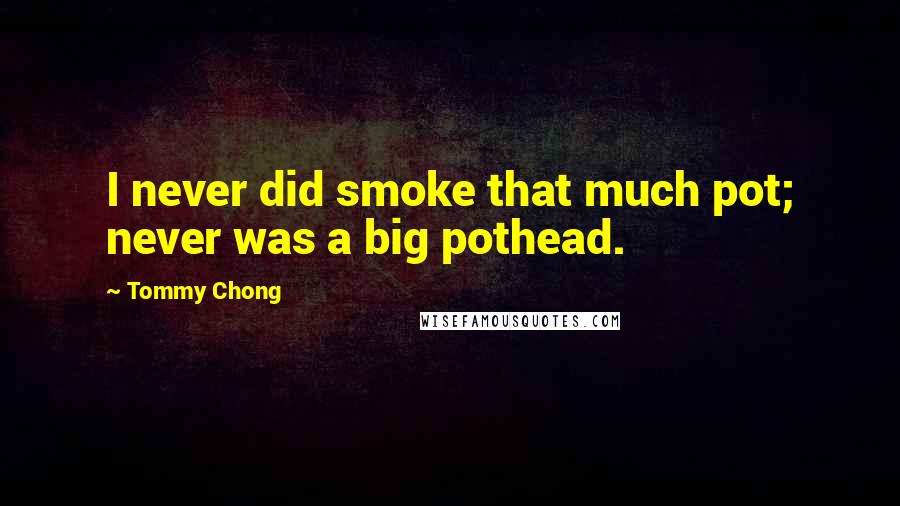 Tommy Chong Quotes: I never did smoke that much pot; never was a big pothead.
