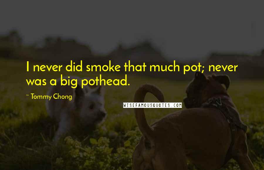 Tommy Chong Quotes: I never did smoke that much pot; never was a big pothead.