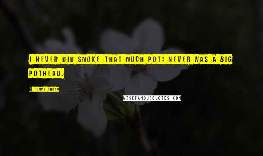 Tommy Chong Quotes: I never did smoke that much pot; never was a big pothead.