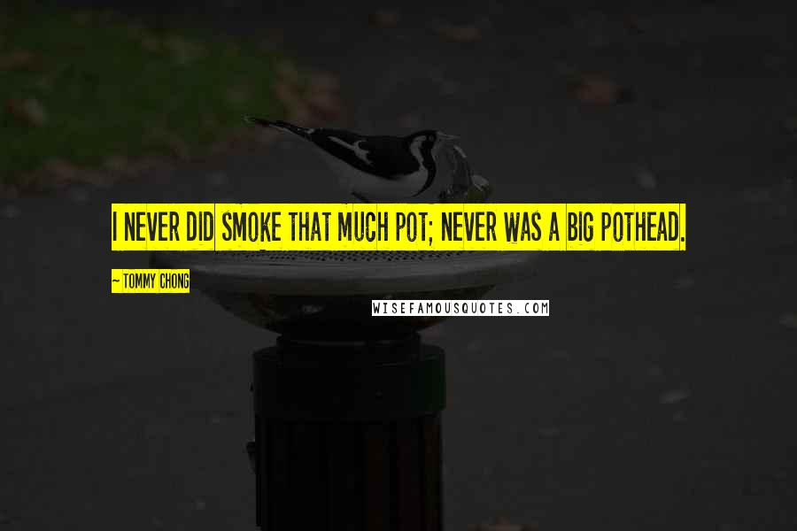 Tommy Chong Quotes: I never did smoke that much pot; never was a big pothead.