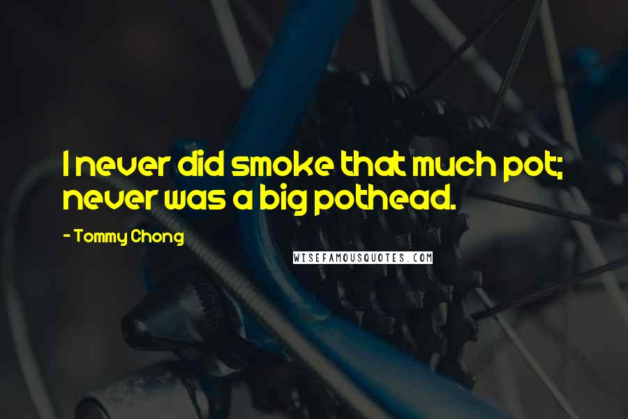 Tommy Chong Quotes: I never did smoke that much pot; never was a big pothead.