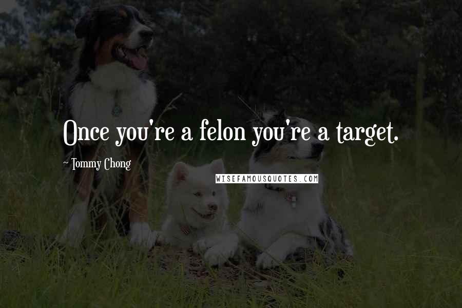 Tommy Chong Quotes: Once you're a felon you're a target.