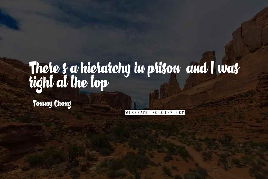 Tommy Chong Quotes: There's a hierarchy in prison, and I was right at the top.