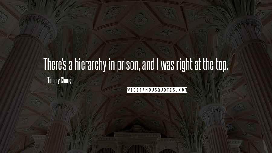 Tommy Chong Quotes: There's a hierarchy in prison, and I was right at the top.