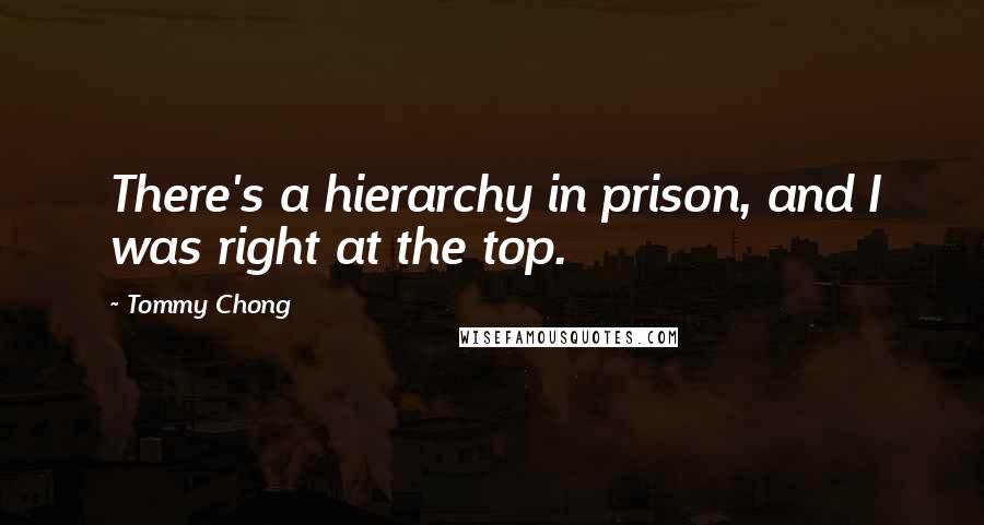 Tommy Chong Quotes: There's a hierarchy in prison, and I was right at the top.