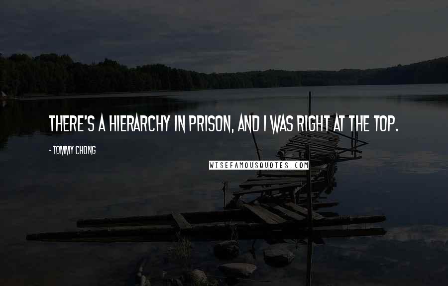 Tommy Chong Quotes: There's a hierarchy in prison, and I was right at the top.