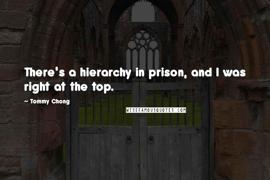 Tommy Chong Quotes: There's a hierarchy in prison, and I was right at the top.