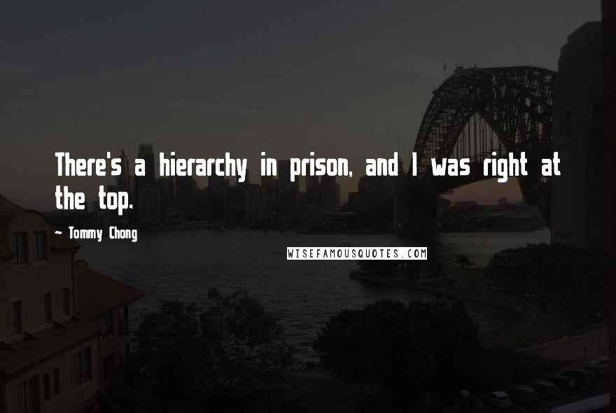 Tommy Chong Quotes: There's a hierarchy in prison, and I was right at the top.