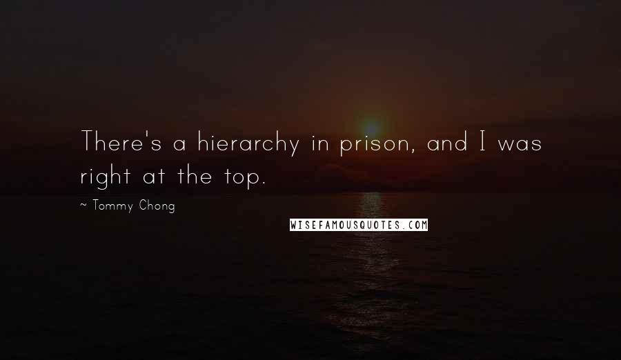 Tommy Chong Quotes: There's a hierarchy in prison, and I was right at the top.