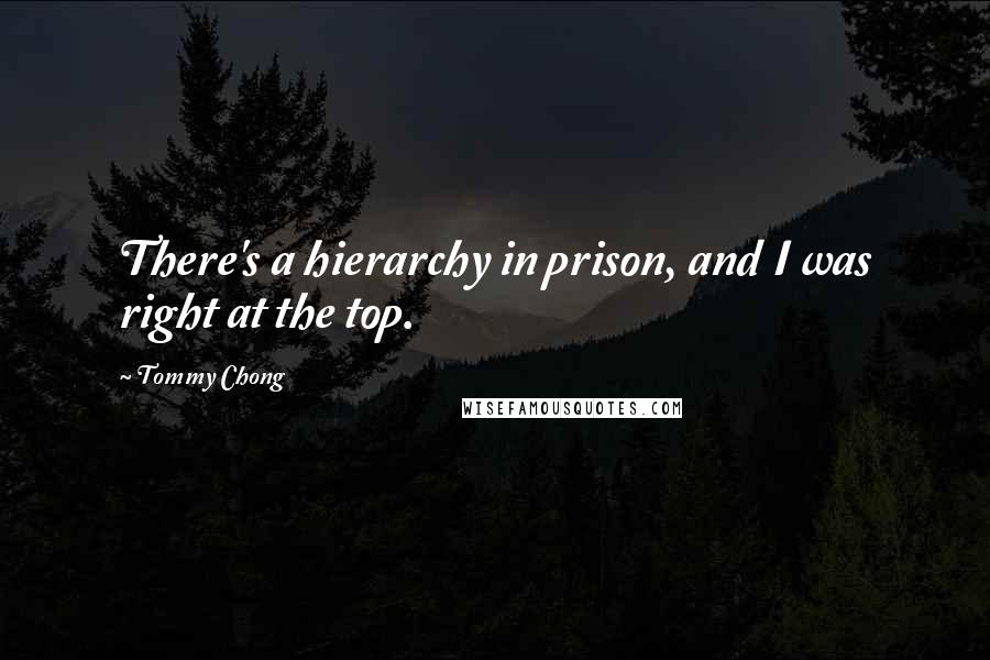 Tommy Chong Quotes: There's a hierarchy in prison, and I was right at the top.