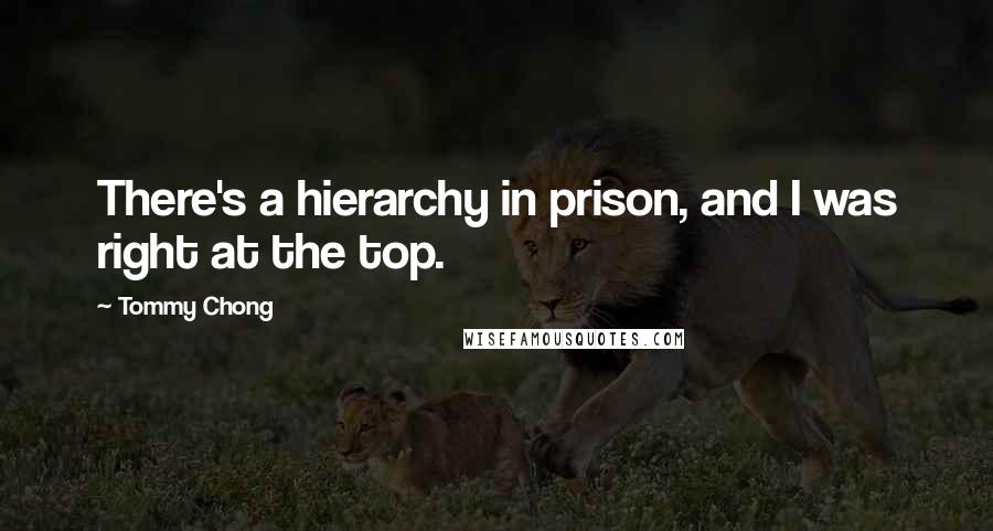 Tommy Chong Quotes: There's a hierarchy in prison, and I was right at the top.