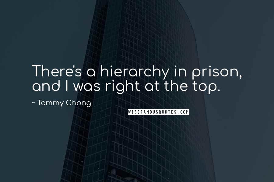 Tommy Chong Quotes: There's a hierarchy in prison, and I was right at the top.