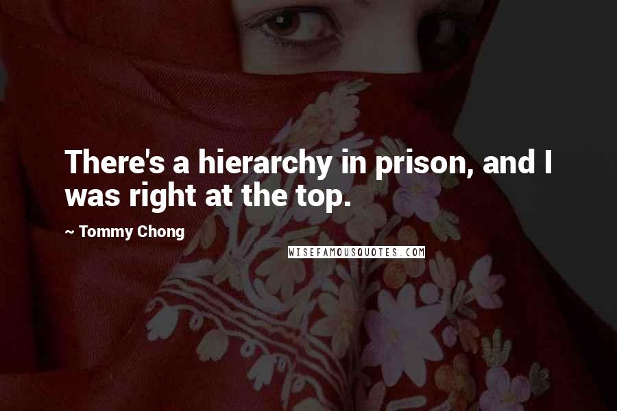 Tommy Chong Quotes: There's a hierarchy in prison, and I was right at the top.