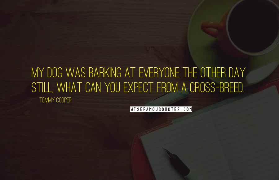 Tommy Cooper Quotes: My dog was barking at everyone the other day. Still, what can you expect from a cross-breed.