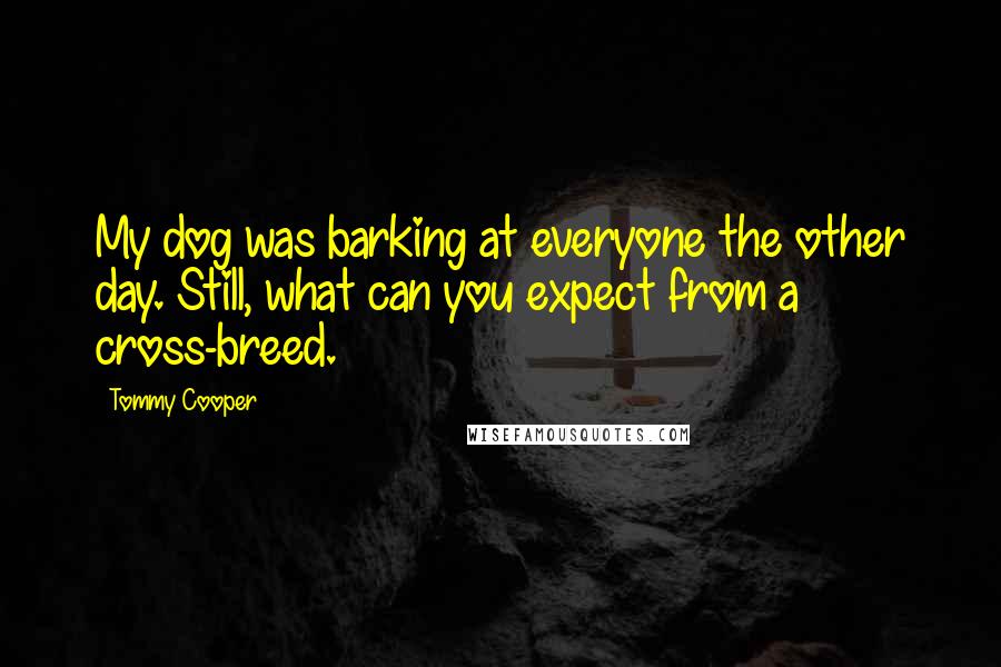 Tommy Cooper Quotes: My dog was barking at everyone the other day. Still, what can you expect from a cross-breed.