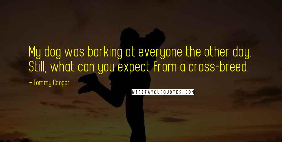 Tommy Cooper Quotes: My dog was barking at everyone the other day. Still, what can you expect from a cross-breed.