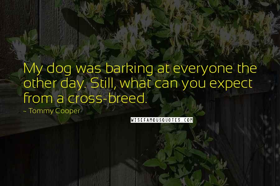 Tommy Cooper Quotes: My dog was barking at everyone the other day. Still, what can you expect from a cross-breed.