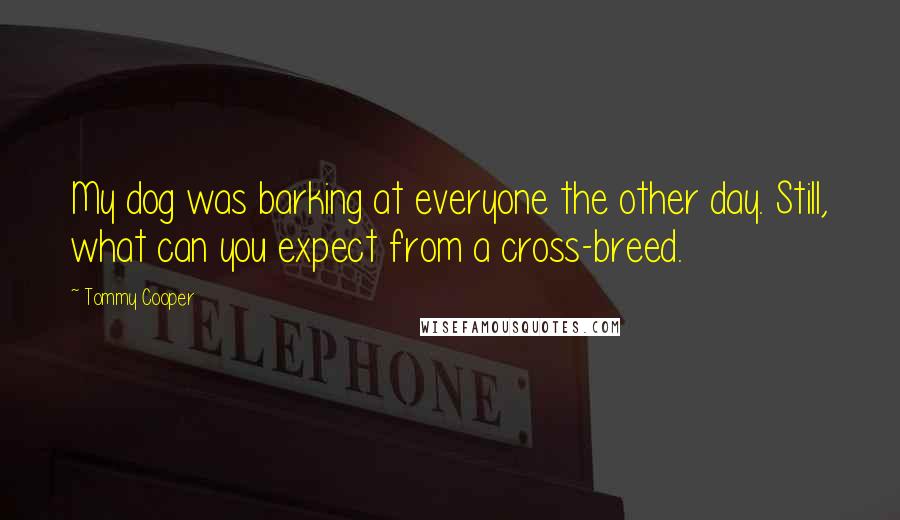 Tommy Cooper Quotes: My dog was barking at everyone the other day. Still, what can you expect from a cross-breed.