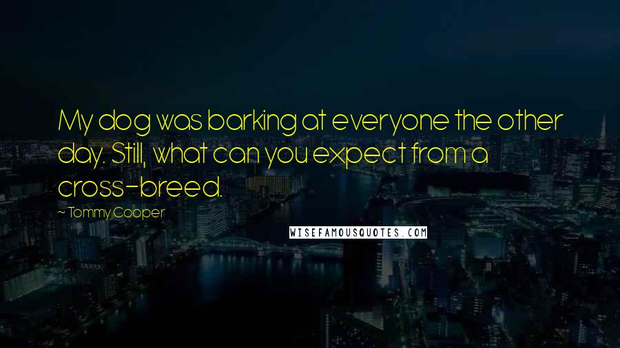 Tommy Cooper Quotes: My dog was barking at everyone the other day. Still, what can you expect from a cross-breed.