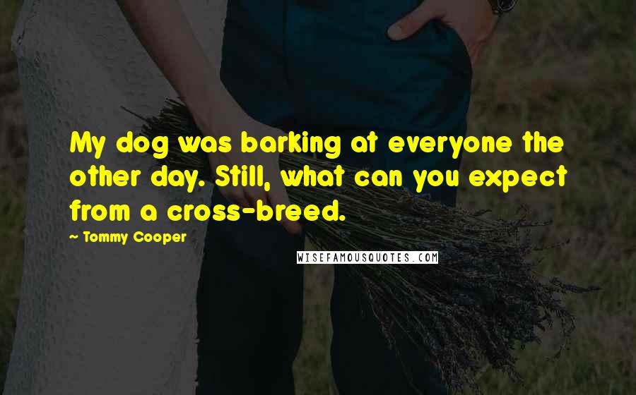 Tommy Cooper Quotes: My dog was barking at everyone the other day. Still, what can you expect from a cross-breed.