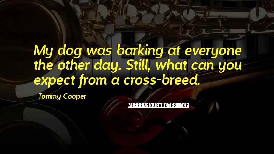 Tommy Cooper Quotes: My dog was barking at everyone the other day. Still, what can you expect from a cross-breed.