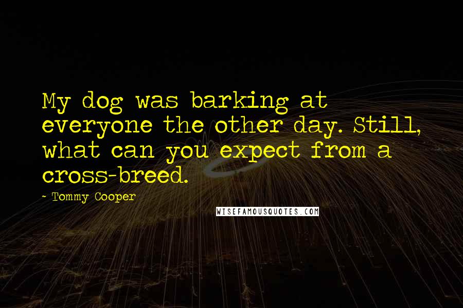 Tommy Cooper Quotes: My dog was barking at everyone the other day. Still, what can you expect from a cross-breed.