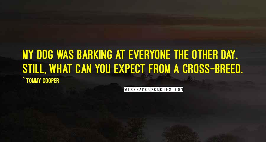 Tommy Cooper Quotes: My dog was barking at everyone the other day. Still, what can you expect from a cross-breed.