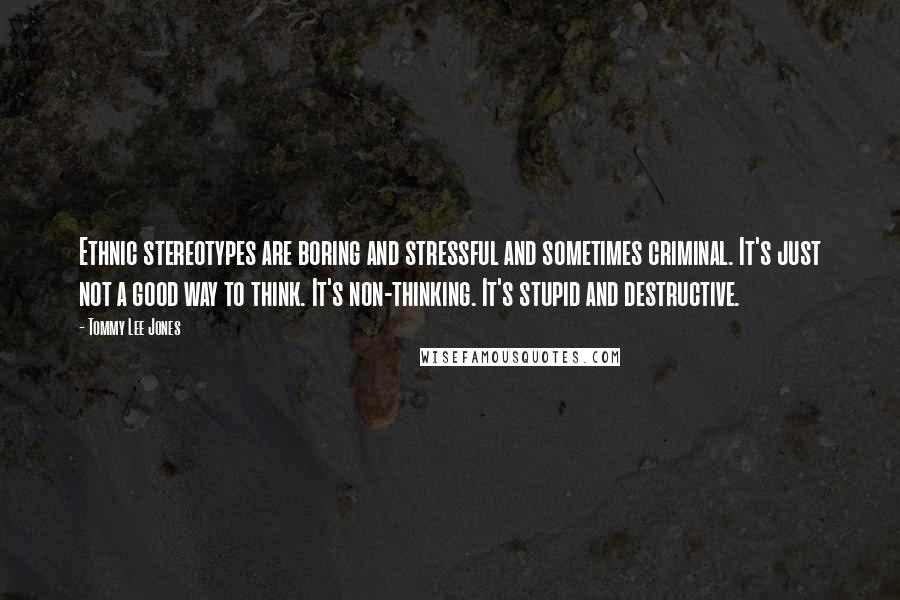 Tommy Lee Jones Quotes: Ethnic stereotypes are boring and stressful and sometimes criminal. It's just not a good way to think. It's non-thinking. It's stupid and destructive.