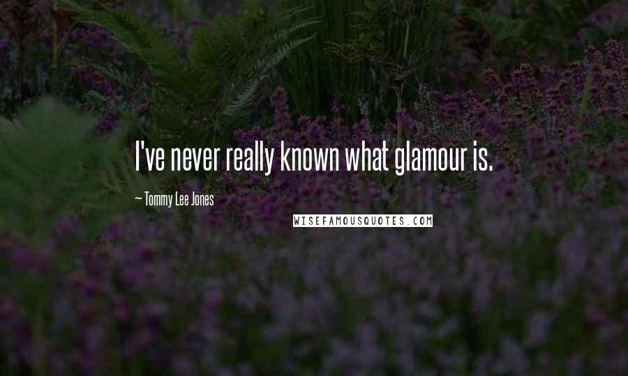 Tommy Lee Jones Quotes: I've never really known what glamour is.