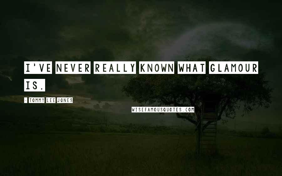 Tommy Lee Jones Quotes: I've never really known what glamour is.