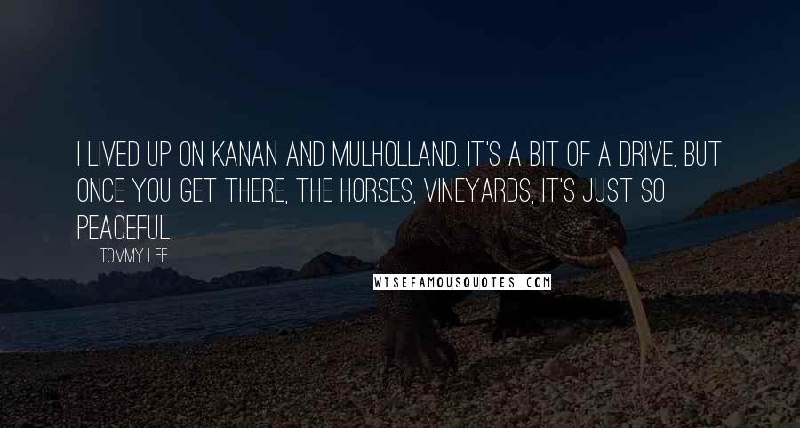 Tommy Lee Quotes: I lived up on Kanan and Mulholland. It's a bit of a drive, but once you get there, the horses, vineyards, it's just so peaceful.
