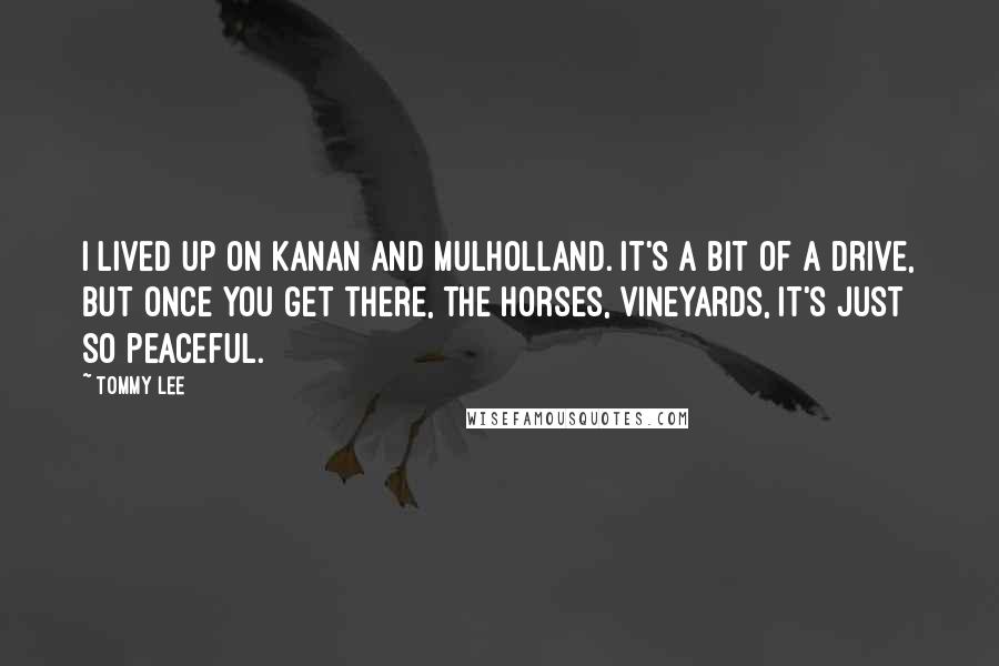 Tommy Lee Quotes: I lived up on Kanan and Mulholland. It's a bit of a drive, but once you get there, the horses, vineyards, it's just so peaceful.