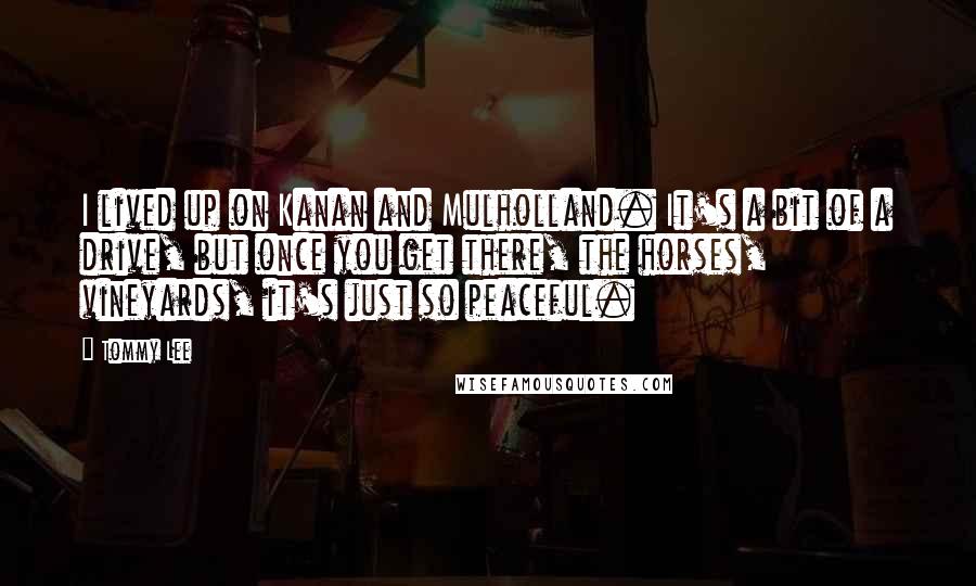 Tommy Lee Quotes: I lived up on Kanan and Mulholland. It's a bit of a drive, but once you get there, the horses, vineyards, it's just so peaceful.