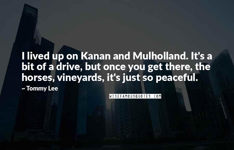 Tommy Lee Quotes: I lived up on Kanan and Mulholland. It's a bit of a drive, but once you get there, the horses, vineyards, it's just so peaceful.