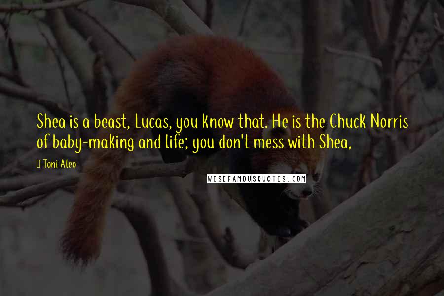 Toni Aleo Quotes: Shea is a beast, Lucas, you know that. He is the Chuck Norris of baby-making and life; you don't mess with Shea,