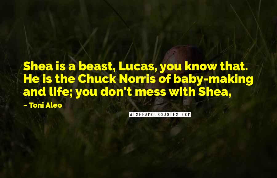 Toni Aleo Quotes: Shea is a beast, Lucas, you know that. He is the Chuck Norris of baby-making and life; you don't mess with Shea,