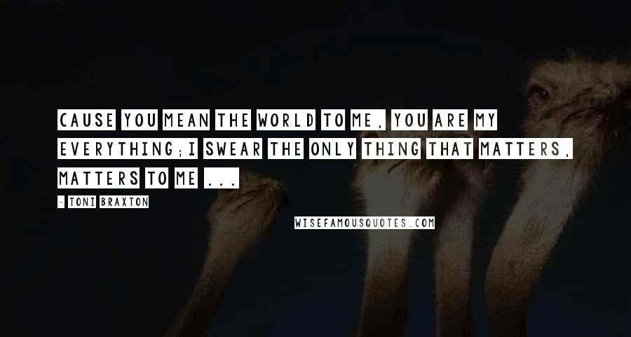 Toni Braxton Quotes: Cause you mean the world to me, you are my everything;I swear the only thing that matters, matters to me ...