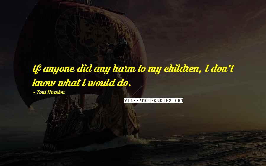 Toni Braxton Quotes: If anyone did any harm to my children, I don't know what I would do.