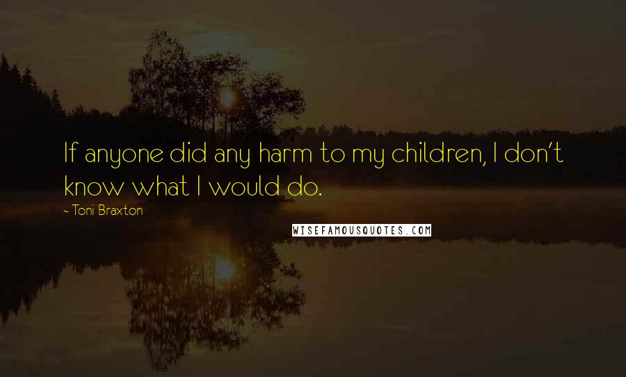 Toni Braxton Quotes: If anyone did any harm to my children, I don't know what I would do.