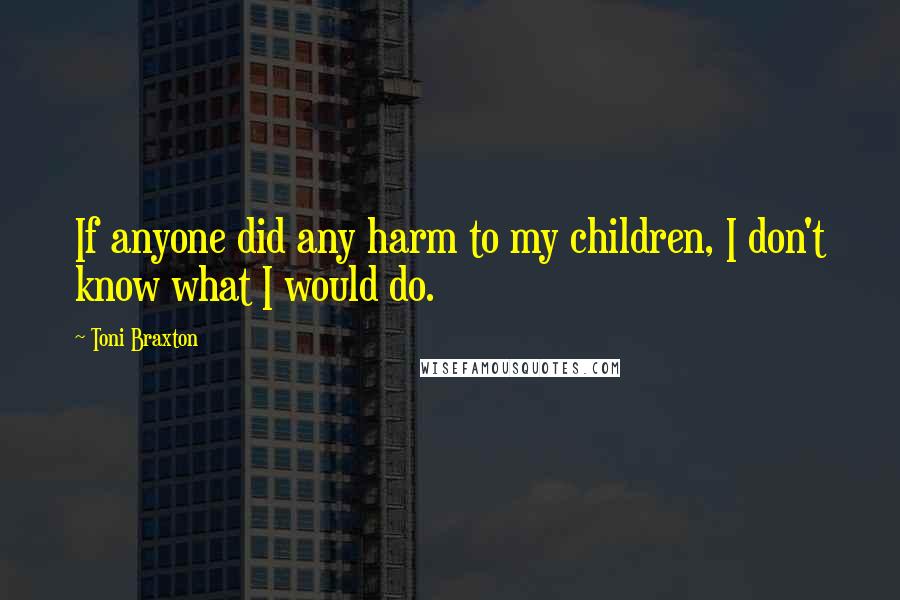 Toni Braxton Quotes: If anyone did any harm to my children, I don't know what I would do.