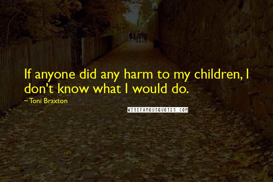 Toni Braxton Quotes: If anyone did any harm to my children, I don't know what I would do.
